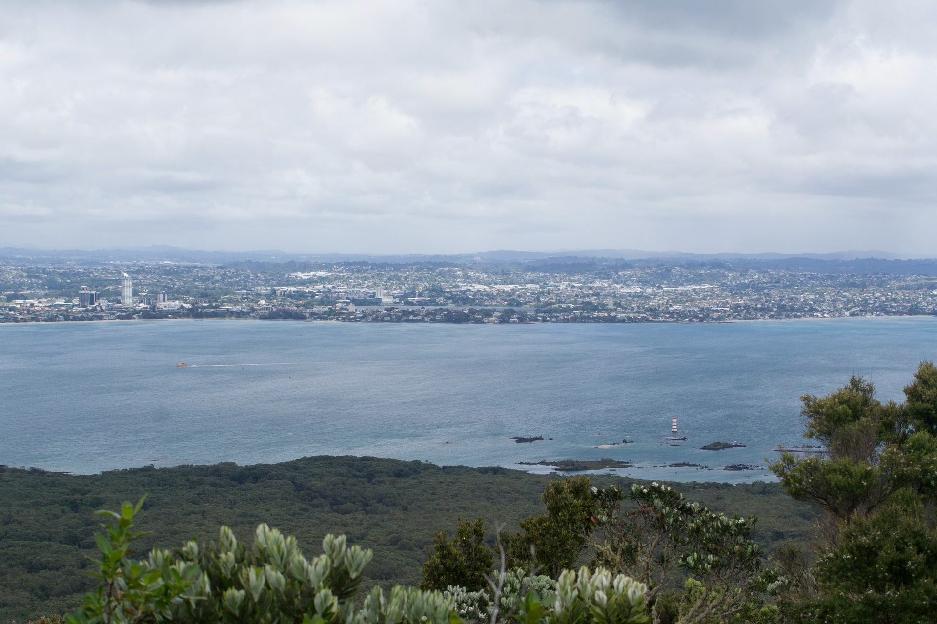 Auckland’s North Shore and harbour, seen from Rangitoto Island.